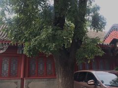 -北京河北迎宾馆