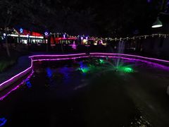 -枫花园汽车电影院(朝阳公园店)