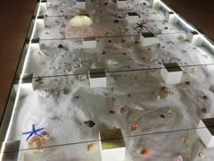 -青岛贝壳博物馆