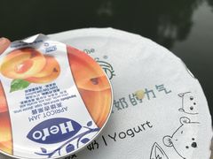 -狐狸家·酸奶酪专门店(平江路店)