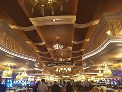 -拉斯维加斯永利酒店