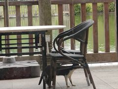 -谷丰健康凤贤居酒家