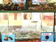 -三亚老渔民海鲜店