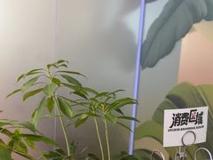 -THE WOODS 简餐 (国贸商城店)