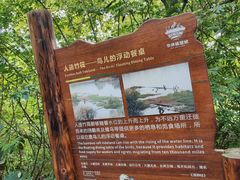 -华侨城湿地公园