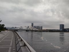 -星光岛