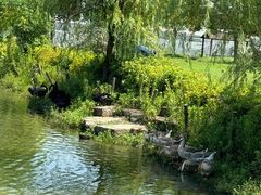 -茅山东方盐湖城景区