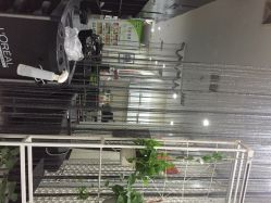 影博莎美容美发形象设计中心(西直门店)-影博莎美容美发形象设计中心