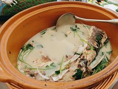 -天目馨缘