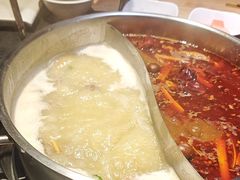 -蓉客成都火锅·招牌麻辣牛杂·特色香辣蹄花(凌水店)