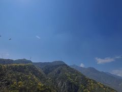 -北京鹫峰国家森林公园