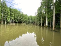 -波尔登森林公园