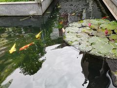 -桃园盛宴·岭南粤菜·手工茶点(南庄店)