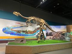 -浙江自然博物院(杭州馆)