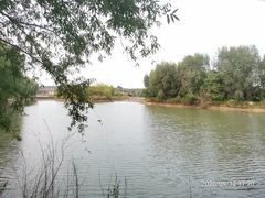 -淇河国家湿地公园