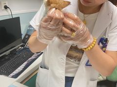 -中农大我爱我爱24h动物医院·中医针灸·猫专科·骨科医疗中心(双井店)