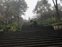 -南山植物园