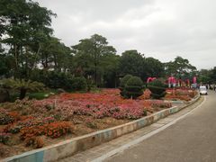 -松山湖梦幻百花洲