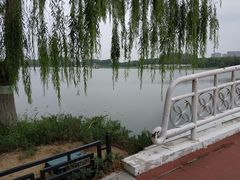 -大兴滨河森林公园