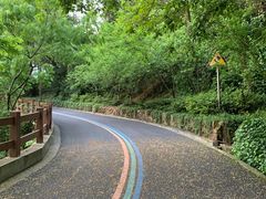 -杭州半山国家森林公园