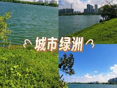 -金银湖国家城市湿地公园