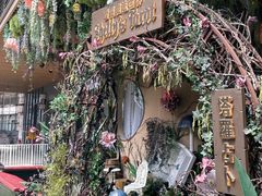 -雪灵魔法世界SHELLY’S TAROT(大良桂畔里店)