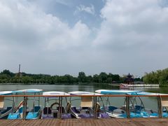 -祥源·阜阳生态乐园