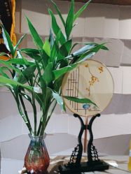 -香秀空间科技抗衰·美容中心