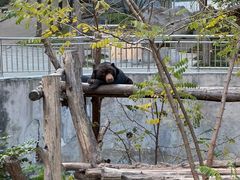 -石家庄市动物园