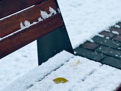 -唐城墙遗址公园