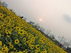 -海心沙亚运公园