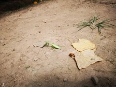 -溪口-滕头旅游景区