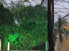 -北国之春国宴(乌兰察布店)