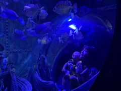 -成都浩海立方海洋公园