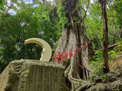 -七仙岭温泉国家森林公园