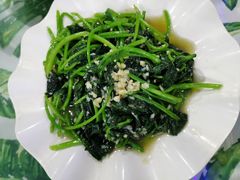 -四姑娘川味海鲜(八爪鱼店)