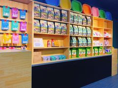 -猫十亿·布偶金渐层·曼基康矮脚猫舍(青年路店)