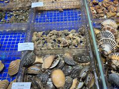 -高佳庄·舟山海鲜(海景旗舰店)