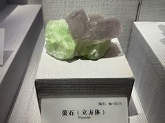 -湖南省地质博物馆