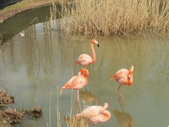 -苏州上方山国家森林公园