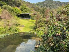 -云溪植物园