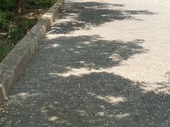 -温都水城·水梦奇缘