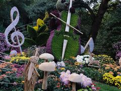 -杭州植物园