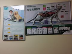 -谐和贝康宠物医院24小时·宠保定点(急重症转诊中心)