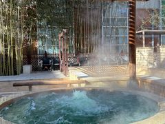 -春晖园度假酒店温泉