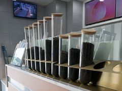 -雾与山茶(大禹城店)