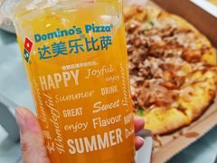 -达美乐比萨(国瑞北路店)