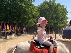 -南通洲际绿博园