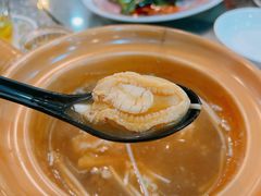 -大中鱼翅 Taitong Shark Fin