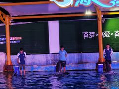 -三亚海昌梦幻海洋不夜城